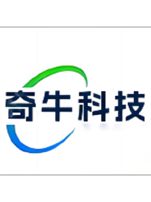 計算機系統服務;信息技術咨詢服務;人工智能應用軟件開發;技術服務